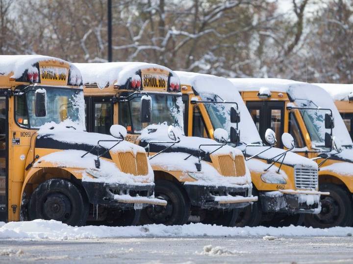 School buses cancelled in Wheatley, Tilbury areas