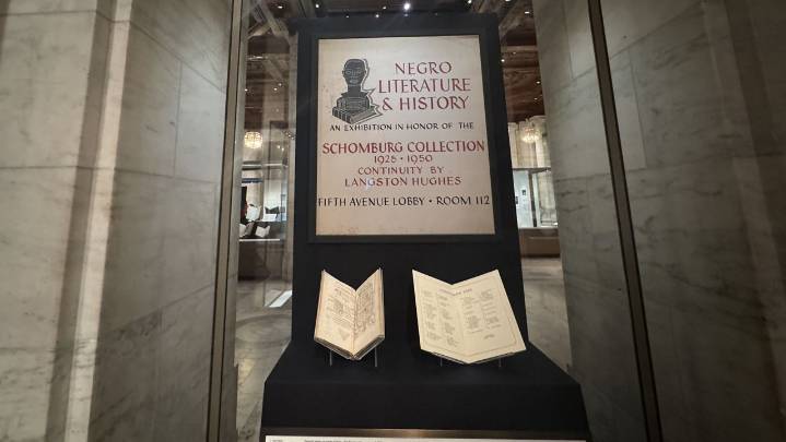 Schomburg Center celebrates 100 years with special exhibit