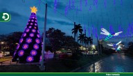 El gigante de la Navidad: el Árbol de 25 metros que deslumbra en Medellín