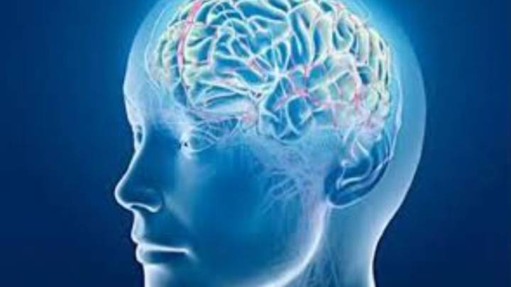 Alzheimer: prueban una estrategia que disminuye el daño cerebral que provoca la enfermedad