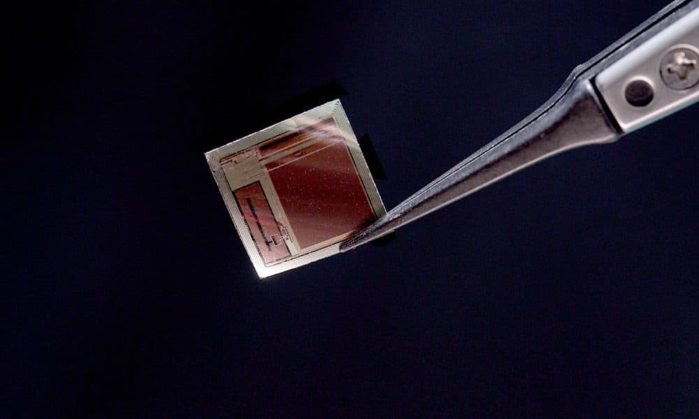 Crean una interfaz cerebro-ordenador del grosor de un cabello pero de alto rendimiento