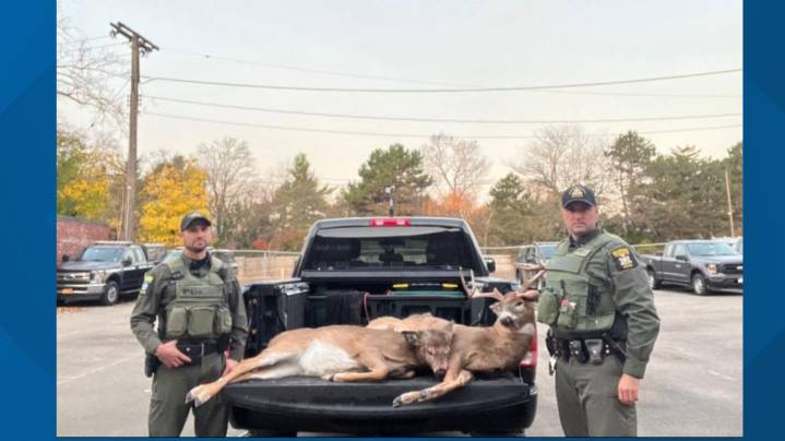 DEC issue 24 tickets after trio allegedly shoots deer from pickup in Tonawanda