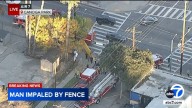 Worker killed, impaled by fence after falling during tree trimming operation in Canoga Park, LAFD says