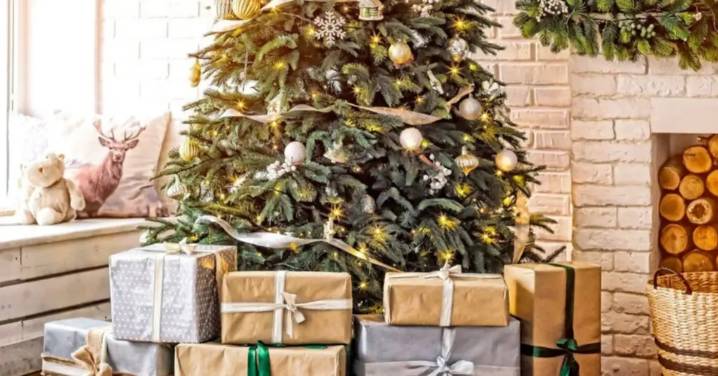 Navidad 2025: el 74% de los argentinos espera promociones para comprar regalos