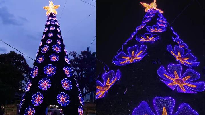 El imponente Árbol de Navidad que se robó el show en Medellín: así es la experiencia que nadie se quiere perder