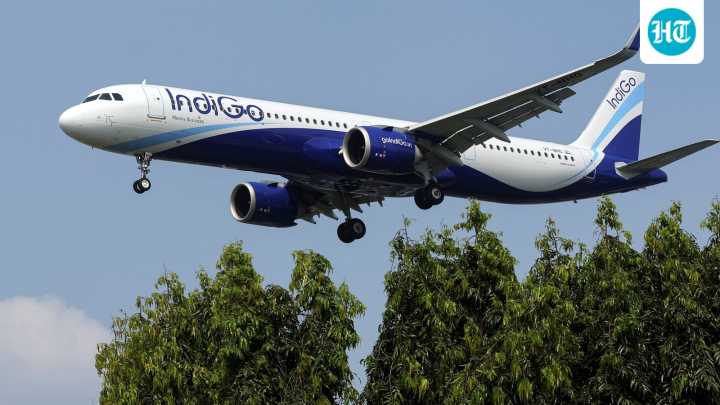 Crew shortage, technical glitch: What led to Indigo flight delays, cancellations