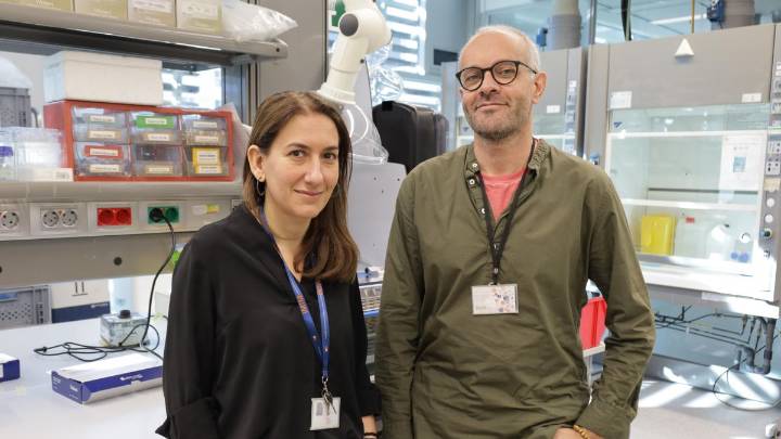 Una herramienta predice el riesgo de ictus isquémico con un análisis de sangre