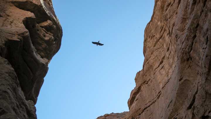 Two injured hikers rescued on different trails Wednesday