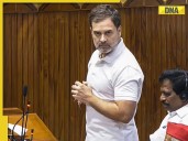 Rahul Gandhi attacks BJP govt in LS: 'Institutions of India are...'