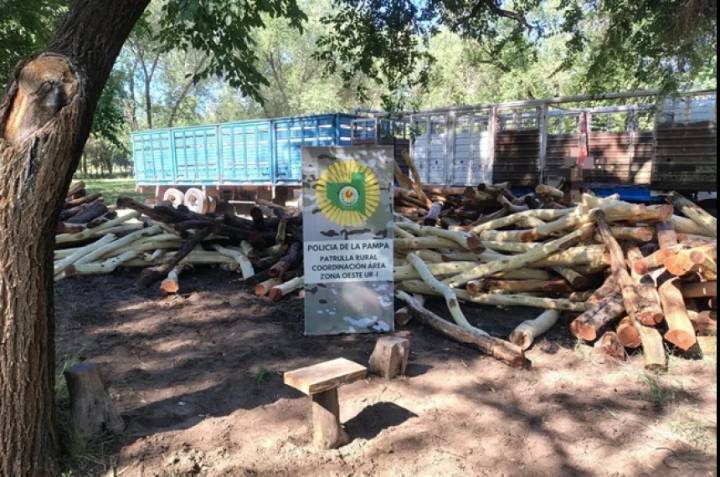 Secuestran en Victorica una importante carga de postes