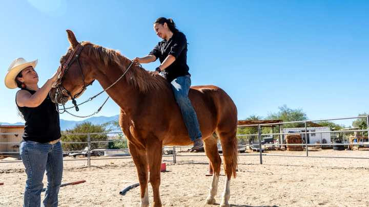 Sky Valley ranch offers equine therapy and horsemanship lessons