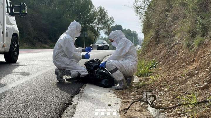 La peste porcina mantiene en vilo exportaciones por valor de 3.000 millones desde Catalunya