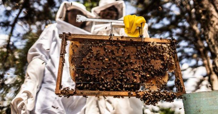 New Leaders for Pennsylvania Beekeepers