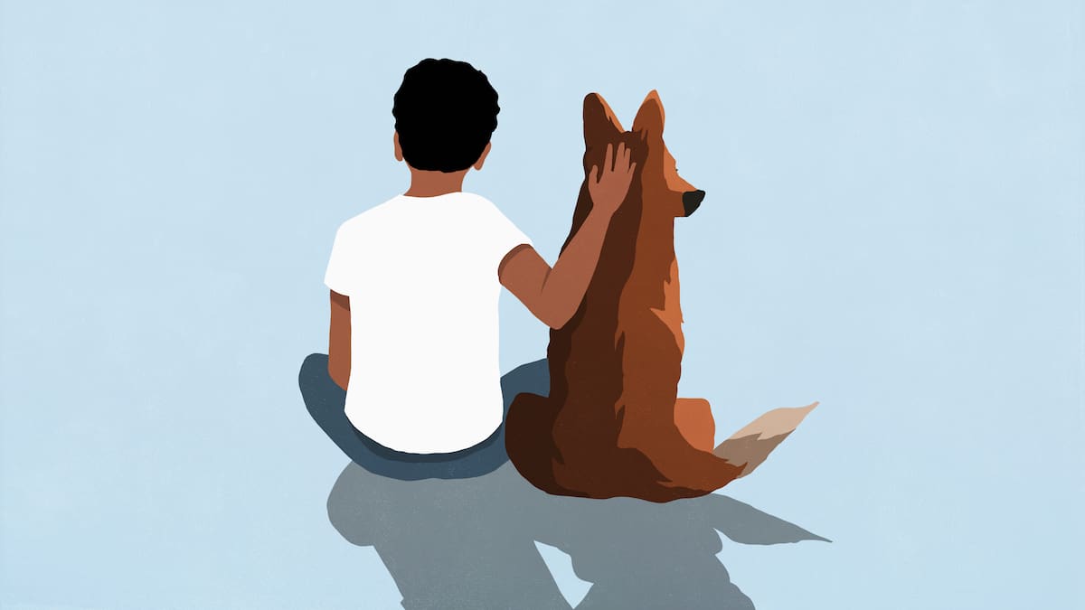 Este perrito espera cada mañana en el bar a que regrese su dueño: nadie le ha comunicado lo que le ha ocurrido