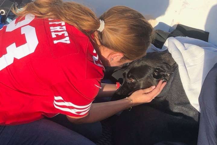 Coast Guard, lifeguards rescue dog swept out to sea moments before search was set to end