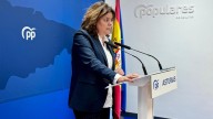 El PP denuncia "caos absoluto" en Derechos Sociales en Asturias: facturas impagadas escondidas en cajones, proveedores que tardan más de 200 días en cobrar y pleitos millonarios