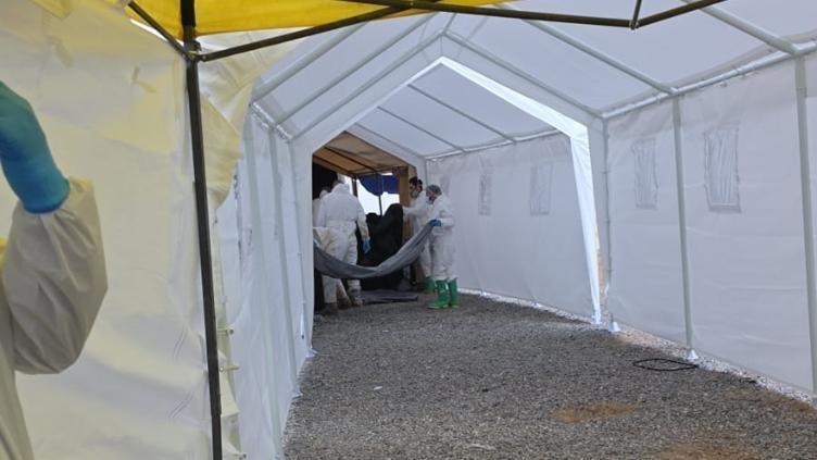 Identifican a 150 cuerpos del Crematorio Plenitud; 39% de avance: FGE