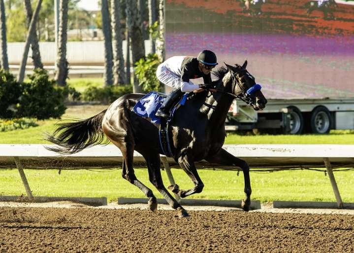 Horse racing notebook: At Los Alamitos, it’s hard to bet against Juan Hernandez