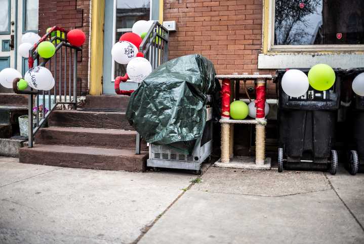 Harrisburg man accused of killing cats charged with fatally punching friend