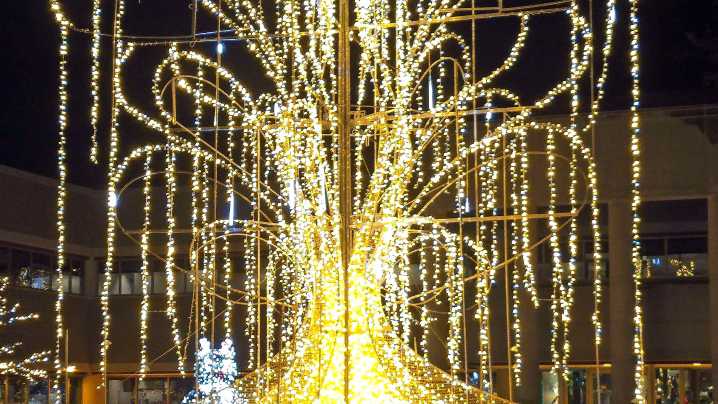 See the Veterans United Christmas lights display in Columbia