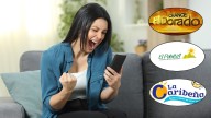 El Paisita, El Dorado, y La Caribeña: estos fueron los números ganadores del sábado 13 de diciembre