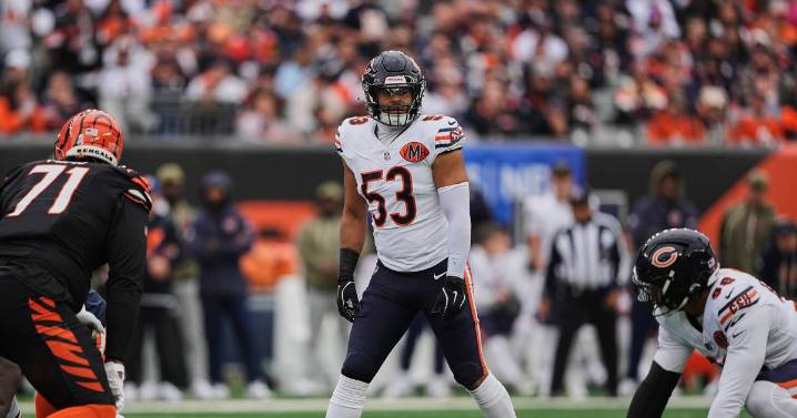 Chicago Bears injury report: Linebackers T.J. Edwards, Noah Sewell return in estimated report