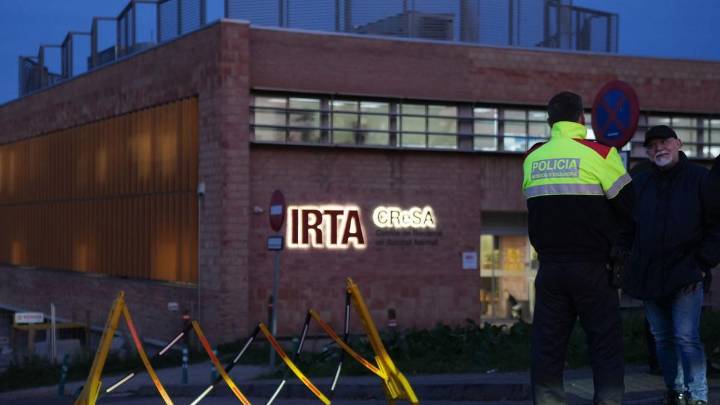 ¿Pudo el virus de la peste porcina escaparse de un laboratorio? Cuatro indicios científicos sobre esta hipótesis