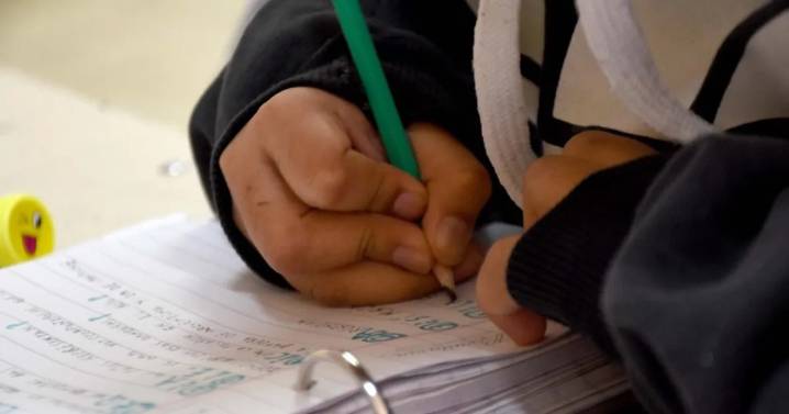 El gobierno de Río Negro confirmó la fecha de inicio de clases para 2026