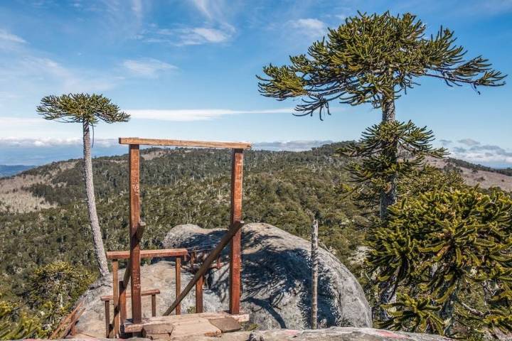 Lugares turísticos en Chile: cómo llegar al Parque Nacional Nahuelbuta