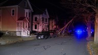Thousands without power after wind takes down tree in Mass. city