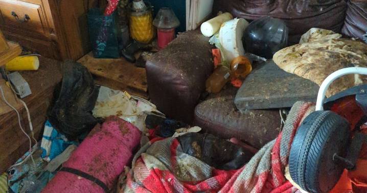 30 dogs found living amongst faeces, rotten food and rat droppings in woman's Teesside home