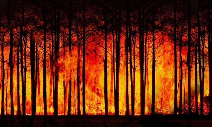 Forest fire erupts along LoC in Balakote sector; landmine blasts triggered, no injuries reported