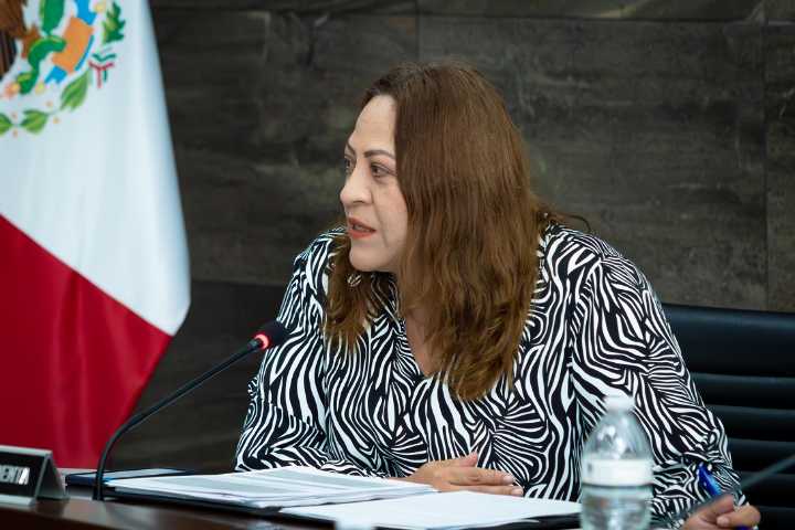 IEEH rinde Informe sobre corte final de Apoyo Ciudadano recabado en la primera etapa del Proceso de Revocación de Mandato