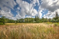 Resident spots man with gun hunting in Barrington wildlife preserve