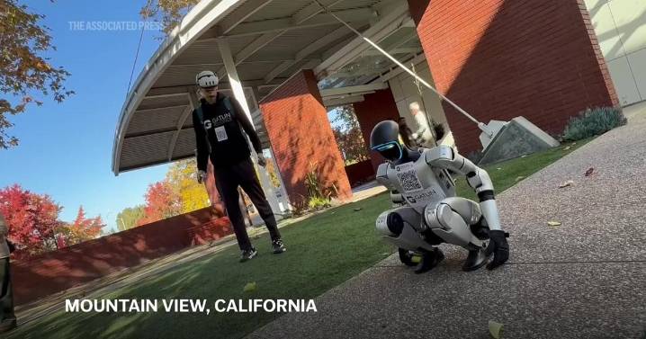 Humanoid robots take center stage at Silicon Valley summit