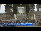 'Beautiful experience': Thousands begin flocking to Shrine of Our Lady of Guadalupe in Des Plaines