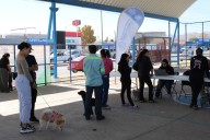 Llevaron servicios gratuitos para animales en Riberas
