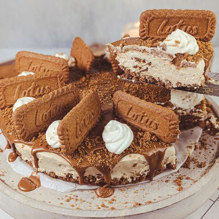 Alex Bala’s No-Bake Biscoff Cheesecake Recipe