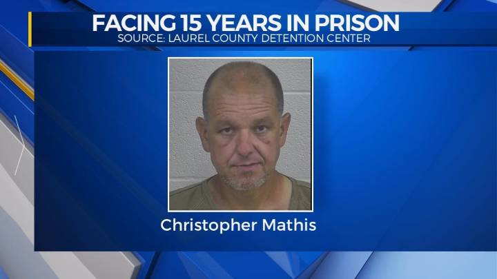 Laurel County man pleads guilty to gun thefts, faces 15
