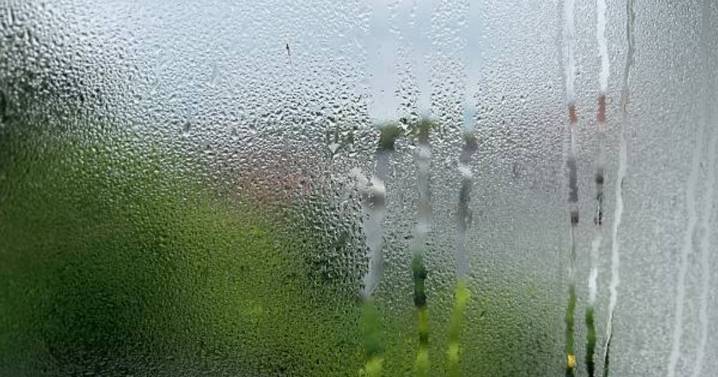 UK households with condensation urged to act 'every morning'