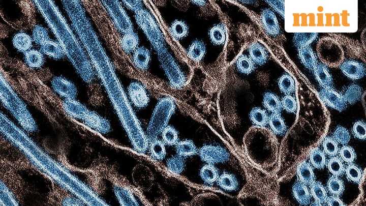 How the 'twin burden' of influenza and bad air is wreaking havoc on public