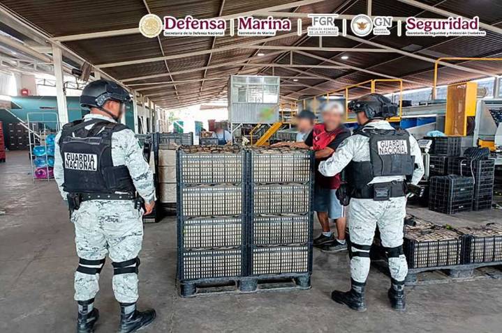 Efectivos de México detienen a 10 individuos e incautan armas y droga