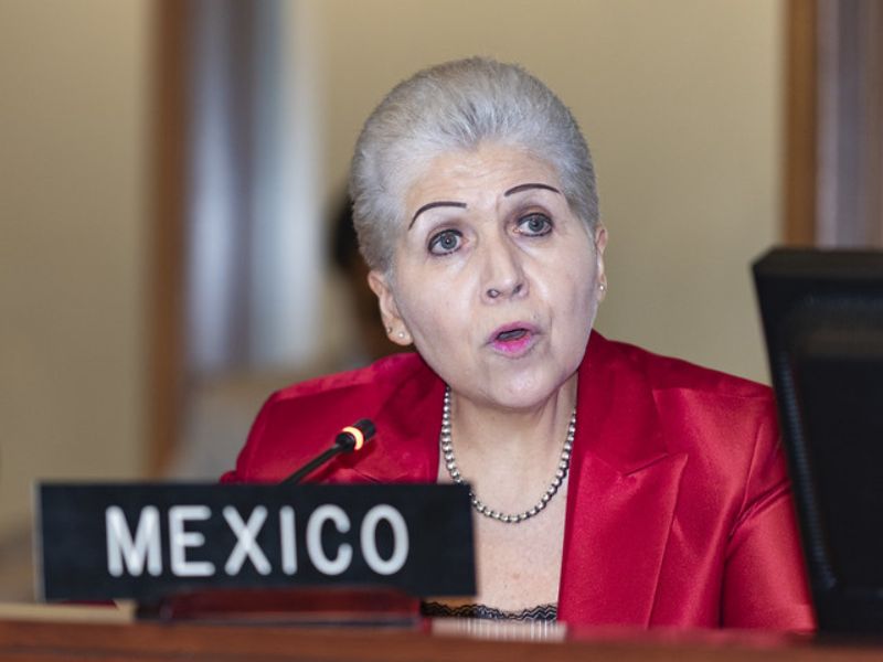 México reafirma el derecho de asilo en la OEA y descarta reformas
