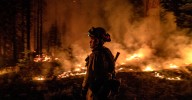 UC Berkeley study: Prescribed burns in Sierra foothills help reduce wildfire risk