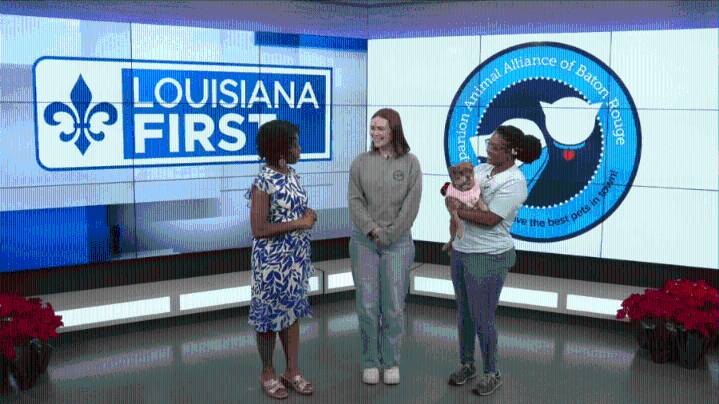 Companion Animal Alliance program aims to help Baton Rouge residents keep their pets