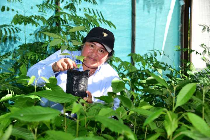Más de 80 hectáreas de bosque Ecopetrol y comunidades de Yopal trabajan para recuperarlas