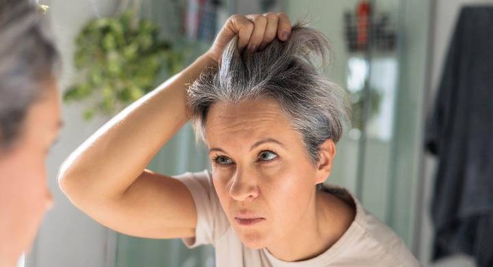 Canas: el sorprendente mecanismo que protege al cuerpo del cáncer, según expertos