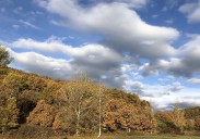 Fin de semana de sol y temperatura agradable para encarar el ecuador de diciembre en León