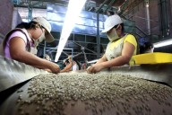 Midagri: ventas por agroexportaciones superaron los US$ 11,500 millones a octubre