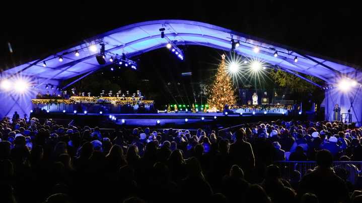 Melania Trump lights the National Christmas Tree after president counts down